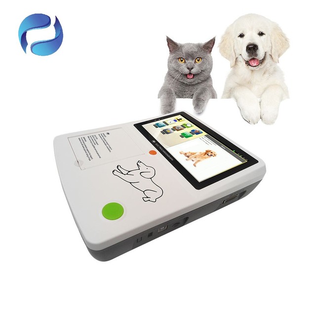 USB DOG Veterinary Thermometer Touchscreen Data Storage CE Certified Class II Monitoring Device
