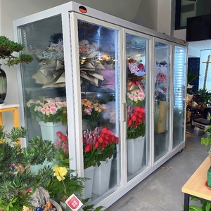 Mueble Refrigerador para Flores Usado para Equipos de Floristería y Refrigeración, con Funciones de Máquina Expendedora de Flores y Refrigeradores - Product Image 4