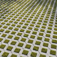 Grille perméable en plastique pour terrassement, idéale pour les parkings, voies d'accès et terrains de golf, 500mm x 500mm x 38mm