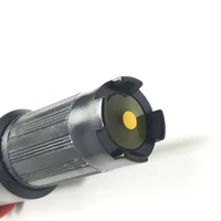 Capteur d'ions chlore en ligne BGT-WCl(K2) IP68 Modbus RTU pour la surveillance de la qualité de l'eau