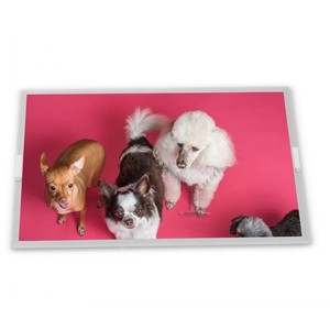 M240hw01 v0 24-inch LVDS hiển thị TFT loạ<span class=keywords><strong>i</strong></span> 1920*1080 Độ phân giả<span class=keywords><strong>i</strong></span> LCD module - Product Image 1