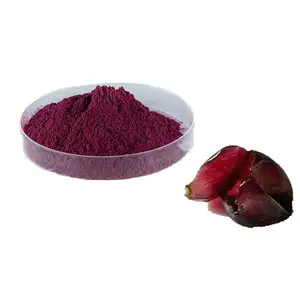 Extracto de piel de uva roja Natural orgánico, extracto de cáscara de uva en polvo