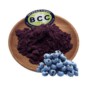 Poudre de jus de myrtille biologique sauvage en vrac en gros, extrait de myrtille - Product Image 1