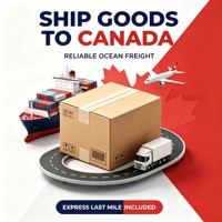 Agent maritime Alibaba Express Canada Fret maritime LCL FCL Expédition avec livraison à domicile par coursier DDP Dédouanement