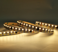 Bande lumineuse LED blanche double SMD 2835 240LED DMX512/UCS512B3 Pixel avec commande vocale en cuivre et mode DMX