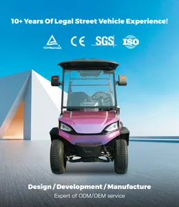 Hunting Buggy Street Legal Carro De Golf Electrico KingHike Utility Electric Golf Cart