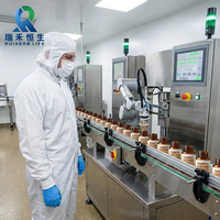 Cápsulas de Cúrcuma, Suplemento para un Estilo de Vida Saludable, Apoyo Diario para la Vitalidad, Extracto Natural de Plantas con Certificación GMP