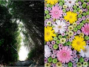 Objectif Sigma 10-18 mm F/2.8 DC DN Contemporary (RF) non plein format, filtre 67 mm, alliage d'aluminium - Product Image 6