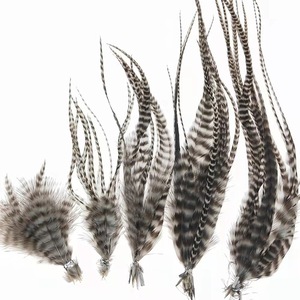 Plumas naturales de gallo Grizzly para atado de moscas, material DIY para streamers, <span class=keywords><strong>ninfas</strong></span> y moscas húmedas, 10 unidades/bolsa - Product Image 1