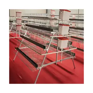 Fabrication automatique Cage de Type a, batterie à 4 niveaux Cages de grillage ferme de poulet volaille Cage couche élevage de poulet alimentation de poulet