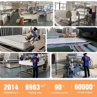 Colchón de Muelles Ensacados en Caja a Precio Competitivo, Tamaño Doble, Colchón Duradero de Tela de Poliéster Tejida para Dormitorio o Villa