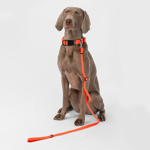 Laisse de dressage pour chien en PVC, couleur unie, personnalisée, pour la promenade des animaux de compagnie - Product Image 1