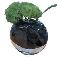 Vase en verre moderne et créatif pour fleurs hydroponiques, ornements floraux, décorations de salle, table à manger, forme de boule souple et volumineuse, style carton