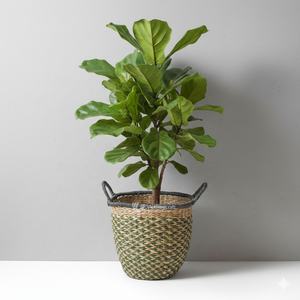 Cesta de Mimbre Estilo Escandinavo, Decoración Natural para el Hogar, Adorno para Decoración del Hogar, Venta al por Mayor Viettimecraft - Product Image 5