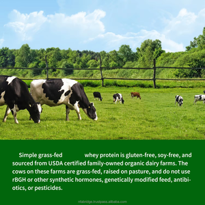 Vente directe usine – Boisson en poudre de protéines de lactosérum avec ingrédients protéinés pour adultes, pour une énergie durable et le développement musculaire - Product Image 6