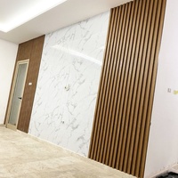 Panel de Pared Exterior Impermeable Bailibai de WPC con Protección Contra Moho, Ignífugo, Insonorizante y Aislante Térmico