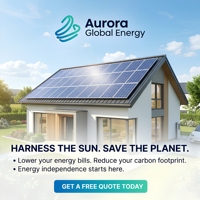 Module Solaire Monocristallin Tout Noir 600-660W, Efficacité 24%, Panneau Photovoltaïque pour Toit Résidentiel, Cellule BC