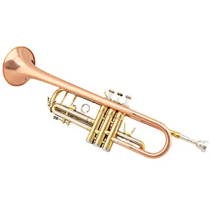 Tubi in bronzo fosforoso maggiori prezzi corpo tromba a banda strumenti musicali tromba strumento ottone