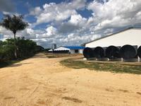 Fermes avicoles préfabriquées Hangar pour poulets Canard Cochon Vache Volaille Hangar pour porcs personnalisé Conception de bâtiment de ferme Semie Cheval Ferme Maison Écurie