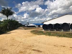 ฟาร์มสัตว์ปีก prefab โรงเลี้ยงไก่เป็ดหมูวัวโรงเก็บของออกแบบอาคารฟาร์ม - Product Image 5