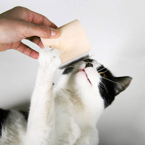Produits de toilettage pour chiens en acier inoxydable écologiques, peigne à poils professionnels pour animaux de compagnie, brosse en bois pour le nettoyage des poils d'animaux - Product Image 3