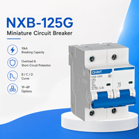 Disjoncteur miniature polyvalent NXB-125G Type C 2P 63A 80A 100A 125A avec protection contre les courts-circuits pour armoires de commande