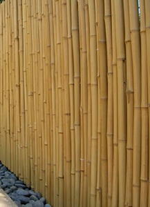 Postes de bambú gruesos de ALTA CALIDAD para construcción o decoración 8 13cm de diámetro PARED FUERTE para CONSTRUCCIÓN - Product Image 4