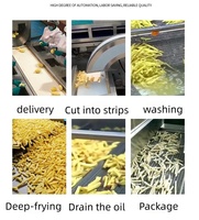 Ligne de production de frites de pommes de terre personnalisées, ligne de production de chips de pommes de terre pour usine de transformation alimentaire