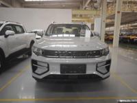 Nouvelles voitures Geely Riddara RD6, conduite à droite, 4x4, camionnette électrique pure 390 km, véhicules à énergie nouvelle