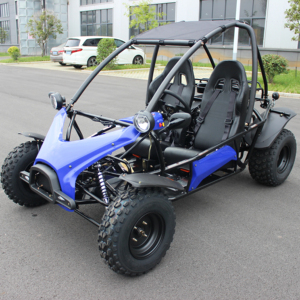 200cc/150cc Dành cho người lớn sa mạc cát Buggy off road Go Kart Dune Buggy - Product Image 1
