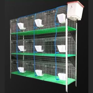 Gübre tepsisi ekonomik ucuz seçeneği ile yeni ticari tavşan yetiştiriciliği galvanizli kafesleri - Product Image 4