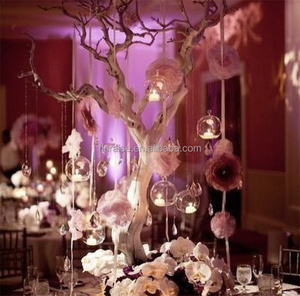 FL-266 Luft Pflanze Glaskugel Terrarium Container Vase mit offenen hängenden Kerzenhalter für Hochzeiten Klarglas Karton Verpackung - Product Image 4