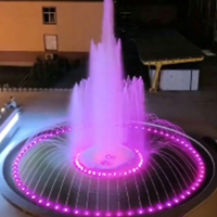 Fuente de Agua Musical Flotante de Acero Inoxidable con Luces LED RGB para Decoración de Jardín, Estanque o Lago, de Water Faery Factory