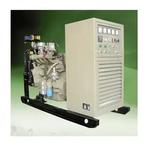 Generator biogas diam ISO CE ATS, tiga fase 60HZ 1800RPM 150KVA 120KW dengan mesin untuk hotel