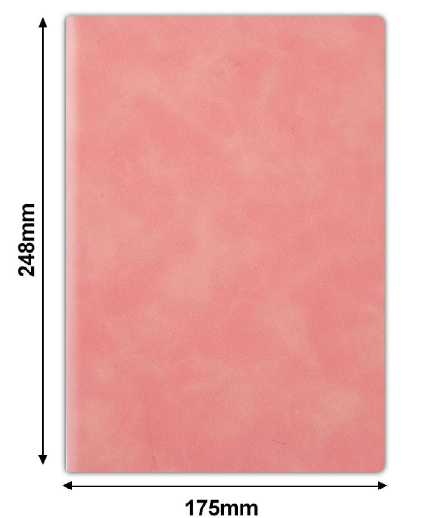 Rose B5 [Carnet de notes Sheeppard]