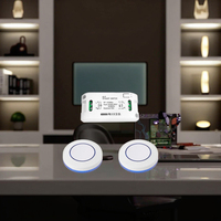 RF433MHz Mini Module de relais de télécommande sans fil 10A Max. pour AC 110V 220V Lumière Lampe Ventilateur LED 10A 10A WiFi