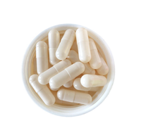 Suplemen Turkesterone Alami Label Pribadi untuk Meningkatkan Pertumbuhan dan Pemulihan Otot, Pil 500mg Kapsul Turkesterone