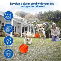 Jouet pour chien de luxe en caoutchouc naturel durable et écologique, balle couineuse, puzzle à mâcher pour mâcheurs agressifs, grandes races, étanche