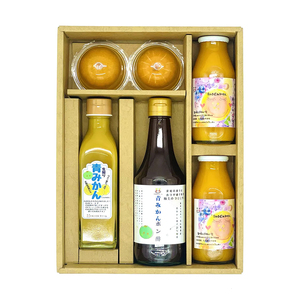 Japan Diversity Premium Corporate Gift <b>Set</b> Luxury Promotional For Mid-Year Occasions - Product Image 1