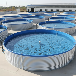 Bassin à poissons ZSPE Jumbo PP pour l'élevage de poissons géants, réservoir en polypropylène sur mesure - Product Image 3