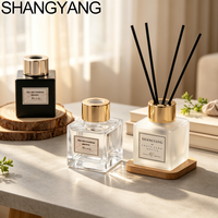 Flacon diffuseur de parfum décoratif de luxe pour la maison, 50 ml, flacons d'aromathérapie vides avec bouchon à vis, en stock