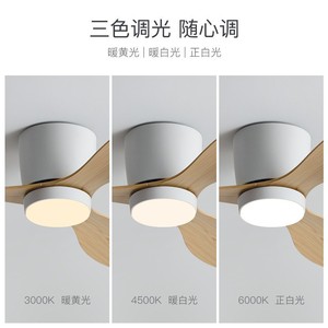 Nordic <b>Ceiling</b> <b>Fan</b> Light Fixed Blade LED Living Room Study 50000 Hours 5 Year Warranty - Product Image 4
