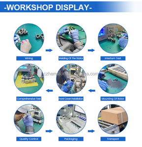 มอเตอร์สเต็ปเปอร์ไฮบริดแบบเพลาคู่ <span class=keywords><strong>Nema</strong></span> <span class=keywords><strong>17</strong></span> ความแม่นยำสูงแบบกำหนดเอง 0.<span class=keywords><strong>17</strong></span> นิวตันเมตร <span class=keywords><strong>0.9</strong></span> สเต็ป 2 เฟส HEMM HEM-17C1001 สำหรับสายการผลิตอัตโนมัติ - Product Image 6