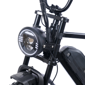 Bicicleta Eléctrica de Neumáticos Gordos de Fábrica China, E-Bike de Largo Alcance Ecoride V6, Bicicleta Eléctrica de <span class=keywords><strong>Montaña</strong></span> para Adultos, Almacén en el Extranjero - Product Image 5