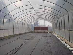 शीर्ष बिक्री अनुकूलित प्लास्टिक सुरंग ग्रीनहाउस कारखाने मूल्य लागत प्रभावी सुरंग ग्रीनहाउस बेचने के लिए सर्वोत्तम गुणवत्ता - Product Image 5