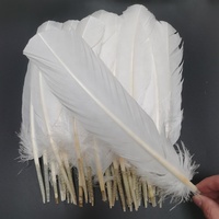 Plumes de dinde teintes en gros, 30-35 cm, plumes décoratives d'ailes de dinde pour costumes de carnaval, bricolage, artisanat, accessoires de chapellerie