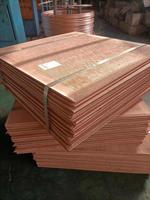 Plaque en cuivre laiton sur mesure d'usine, épaisseur 20 mm, forme de feuille