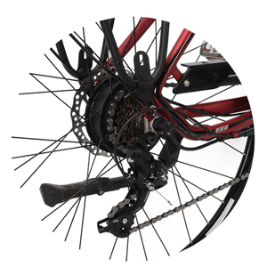 Vélo électrique de ville EC100 pour femmes vélo électrique à marche basse pour vélo électrique de mode urbaine - Product Image 6
