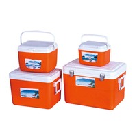 LIHENG Coffrets isothermes carrés personnalisés 5/13/27/45L, lot de 4, pour pique-niques, pêche et barbecue