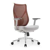 Silla de oficina ergonómica cómoda de malla con características ergonómicas, silla de oficina de malla ergonómica, muestra a granel para oficina